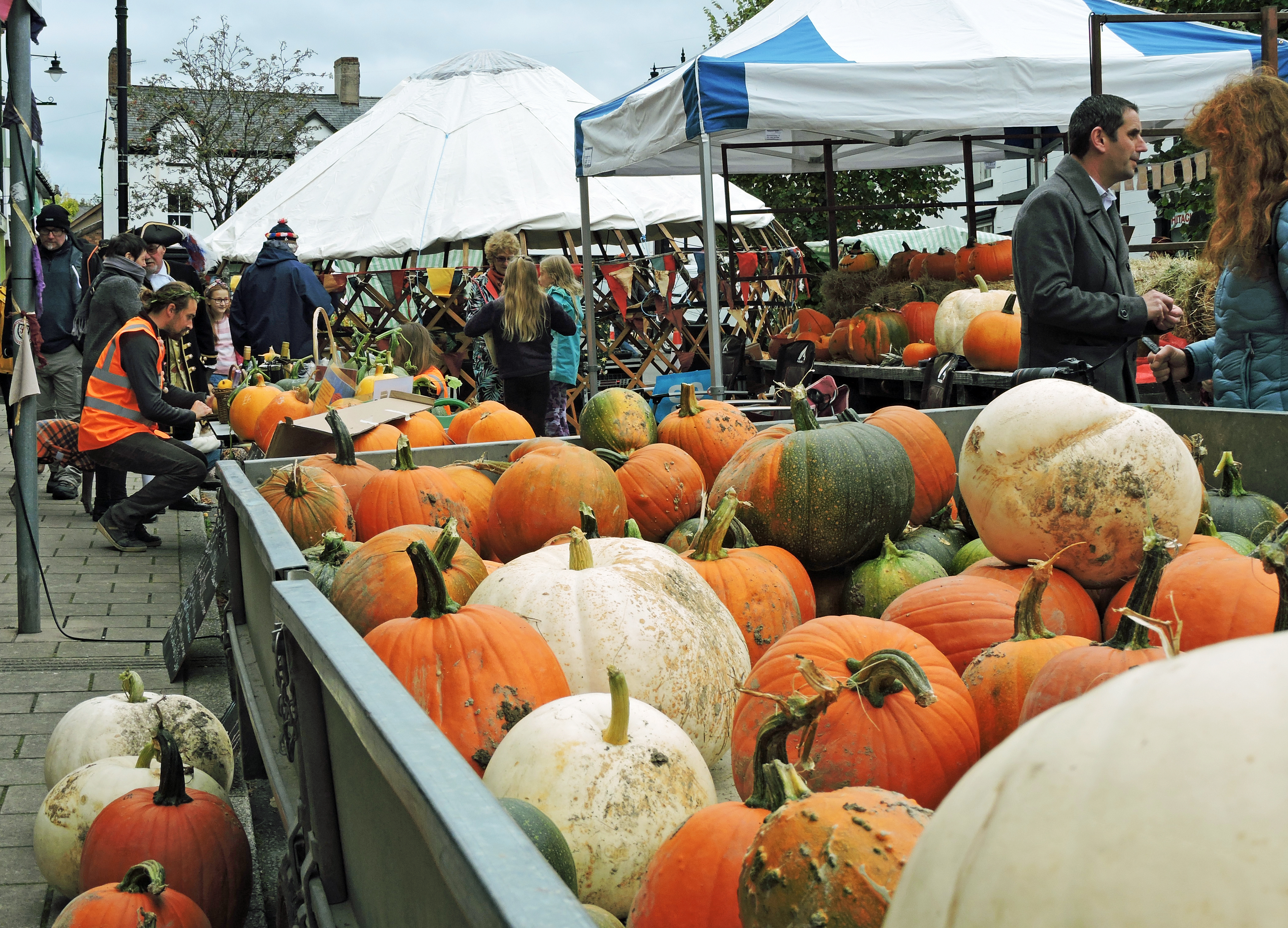 HAVE YOU SEEN A PUMPKIN Bill Bagley Photography